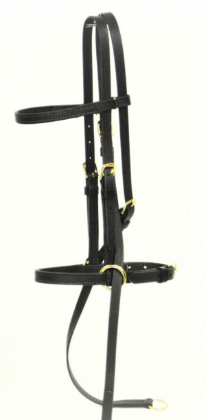 Bitless Bridle