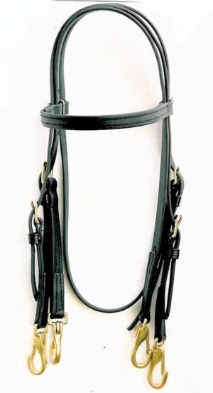 Beta Double Training Bridle with Snaps