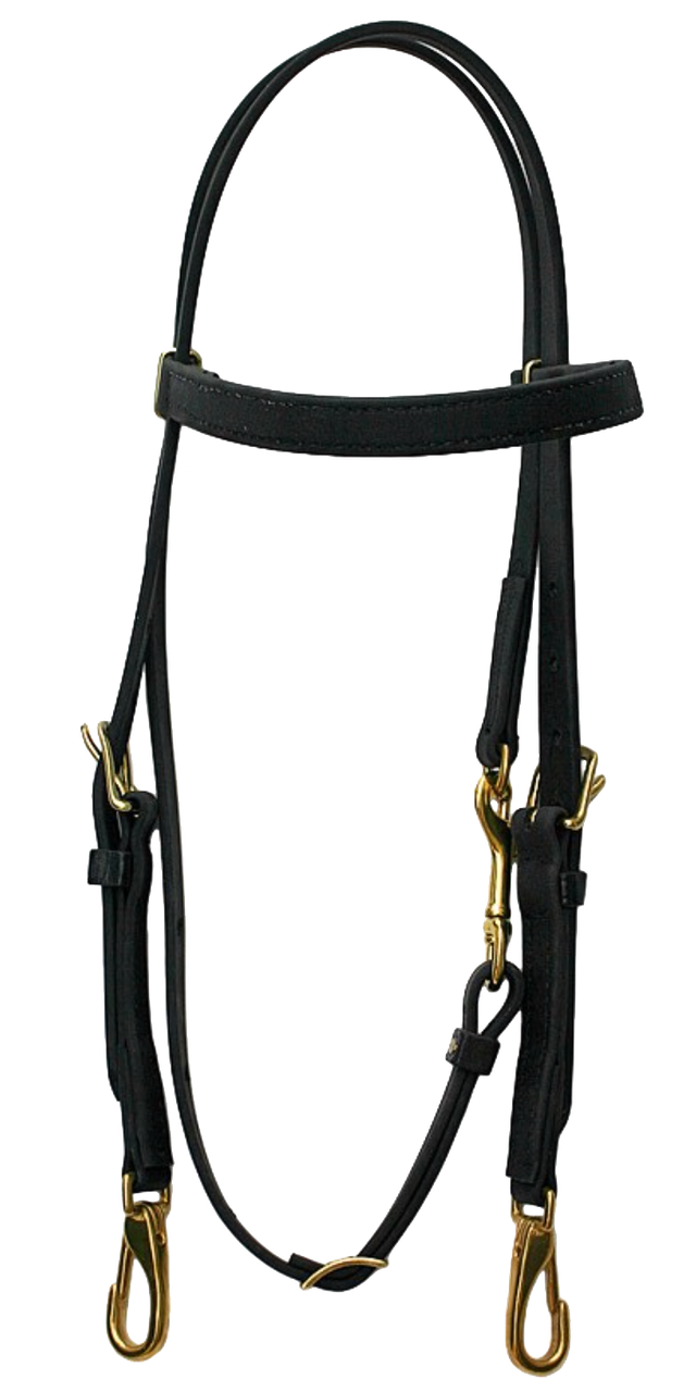Beta Training Headstall with Snaps