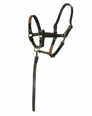 Leather Break A Way Halter for Foals, Weanlings and Yearlings