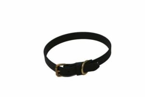 3/4" Beta Dog Collars in many colors