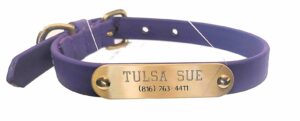 Brass Engraved Dog Collar Plate