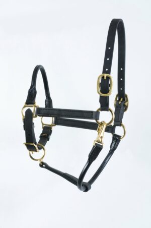 3/4" Beta Stable Halter with Leather Rolled Noseband