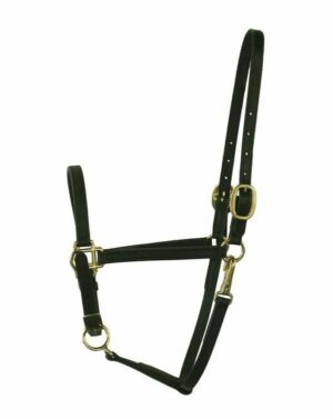5/8" Beta Stable Halter with Side Snap in Black or Brown