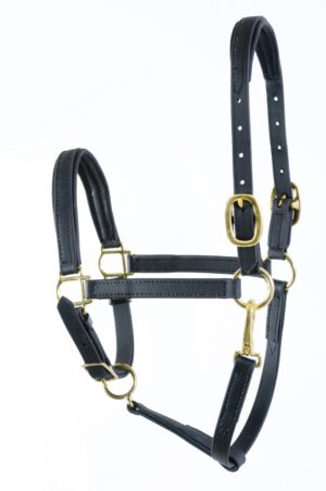 3/4" Beta Padded Nose and Crown Stable Halter