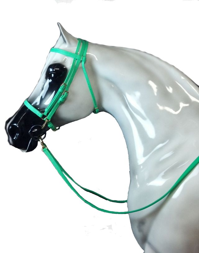 Endurance & Trail Riding