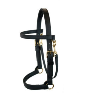 1" Wide Black Training Halter in Beta or Leather