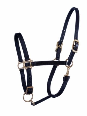 Nylon Halter with Leather Crown
