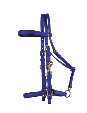 Padded Halter Bridle in many colors