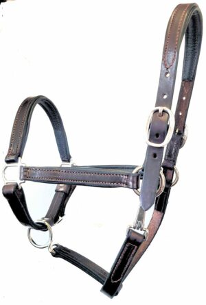 Leather Padded Nose & Crown Halter
