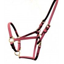 5/8" Beta Burgundy Wine Stable Halter