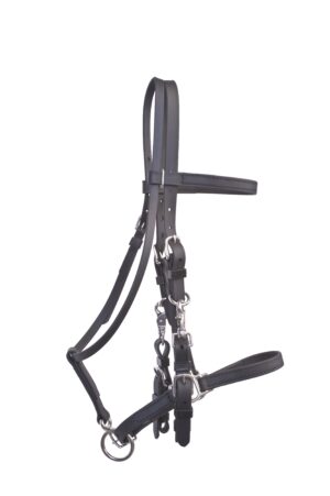 Beta Halter Bridle