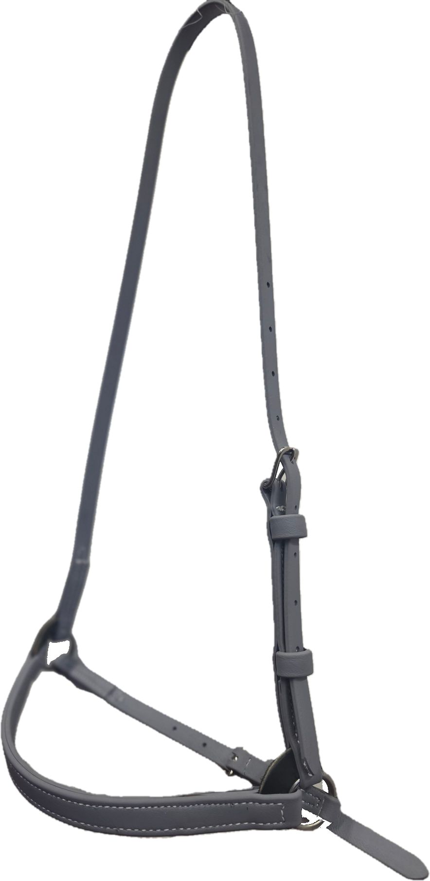 Biothane Beta 3/4" Training Cavesson in many Colors - Padded Noseband option - Image 5