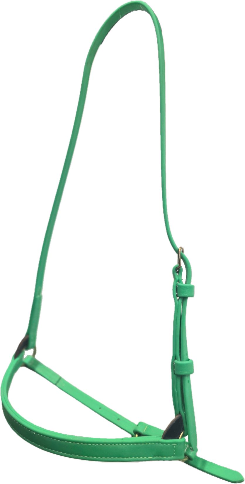 Biothane Beta 3/4" Training Cavesson in many Colors - Padded Noseband option - Image 6