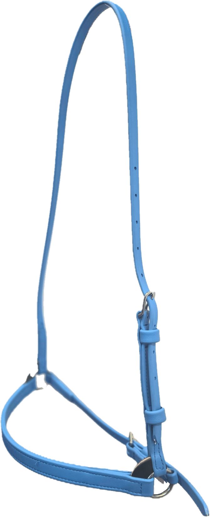 Biothane Beta 3/4" Training Cavesson in many Colors - Padded Noseband option - Image 3