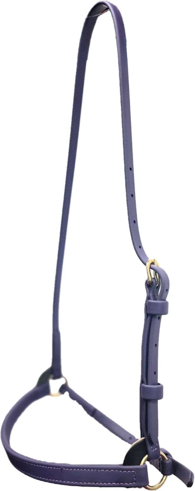 Biothane Beta 3/4" Training Cavesson in many Colors - Padded Noseband option - Image 4