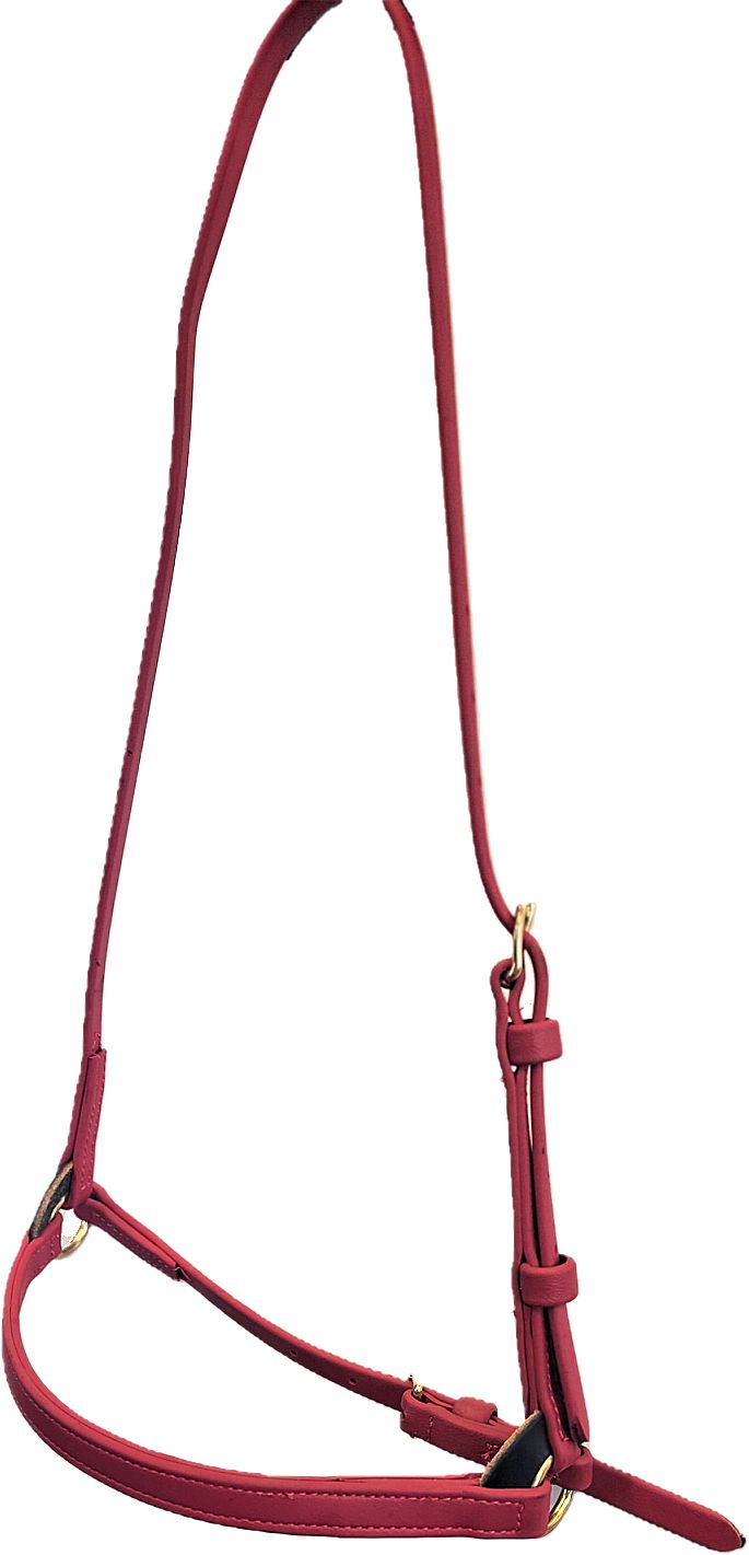Biothane Beta 3/4" Training Cavesson in many Colors - Padded Noseband option