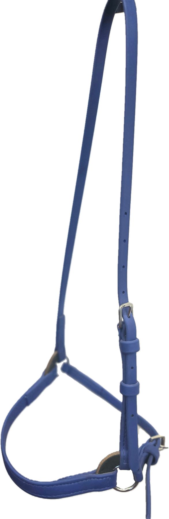 Biothane Beta 3/4" Training Cavesson in many Colors - Padded Noseband option - Image 2