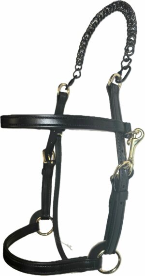 3/4" Biothane Training Halter with Chain Crown