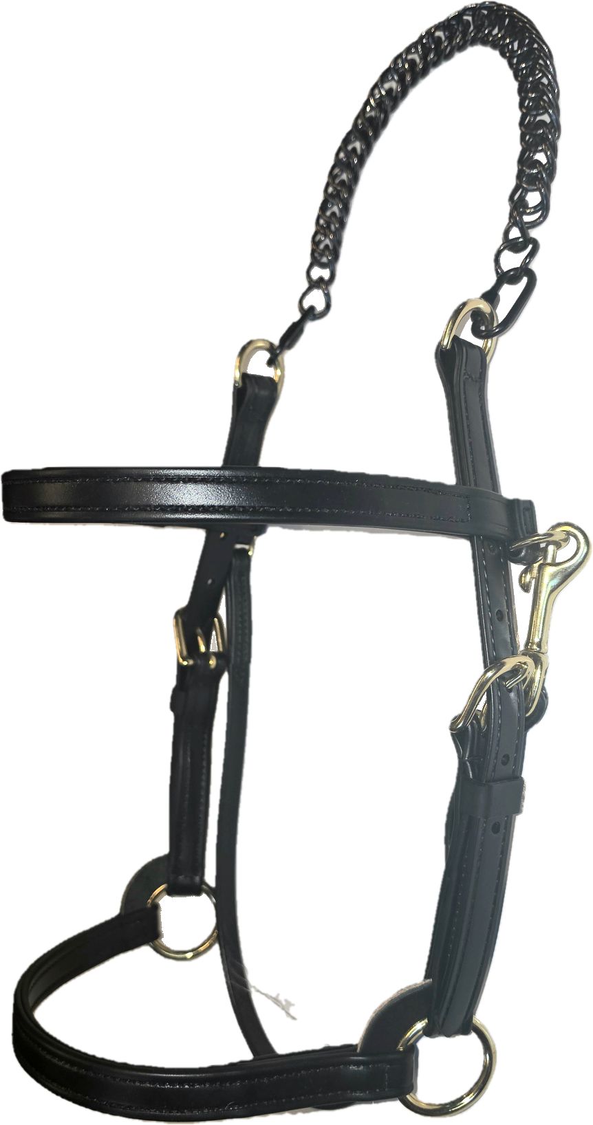 3/4" Biothane Training Halter with Chain Crown