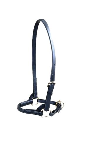 3/4" Training Halter without Browband