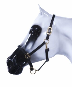 Nylon Halter with Leather Crown